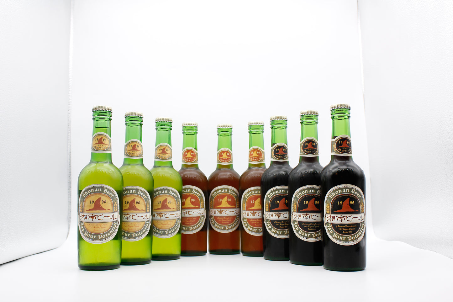 【B-50】湘南えぼしラベル9本